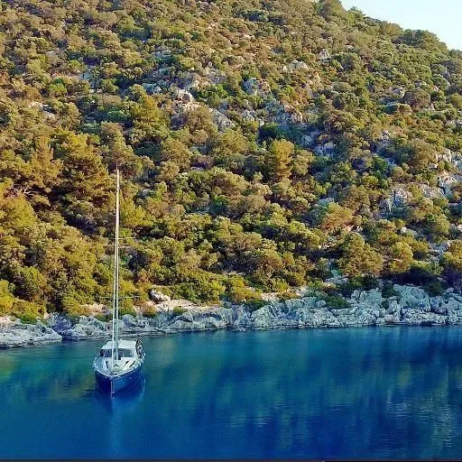 Sailboat in a quiet forested bay